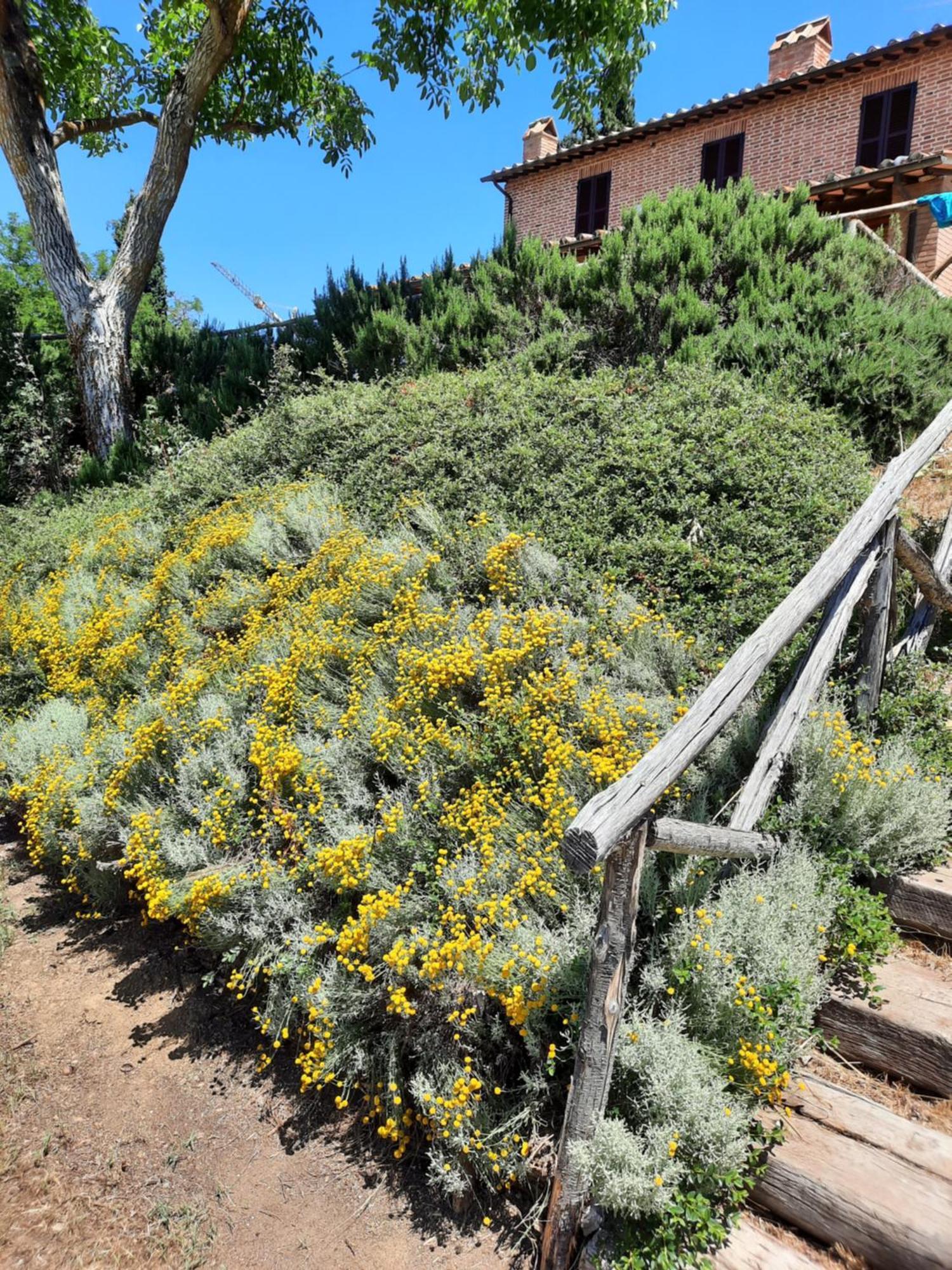 Agriturismo Podere Valdilucciole ชิตตา เดลลา ปีเอเว ภายนอก รูปภาพ