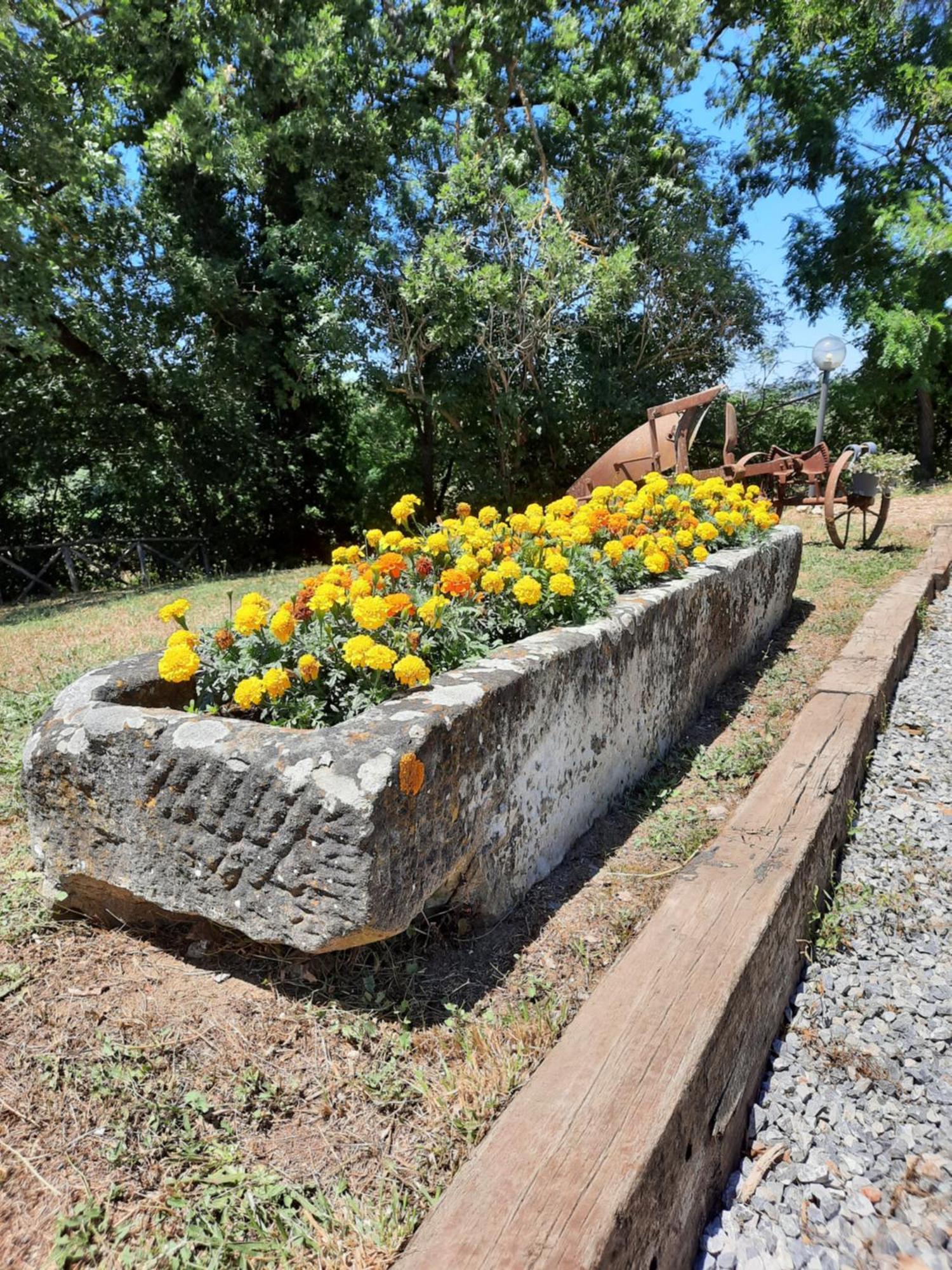 Agriturismo Podere Valdilucciole ชิตตา เดลลา ปีเอเว ภายนอก รูปภาพ