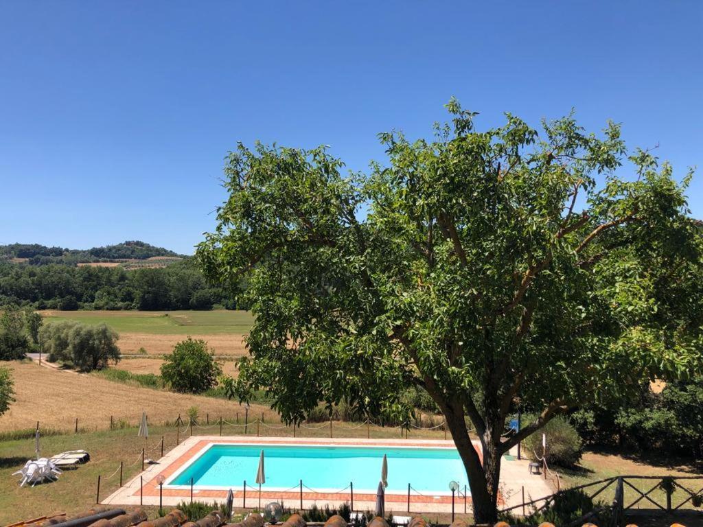 Agriturismo Podere Valdilucciole ชิตตา เดลลา ปีเอเว ภายนอก รูปภาพ